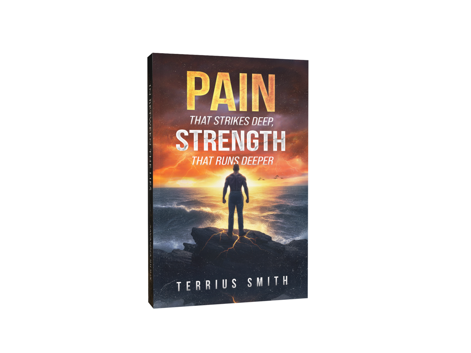 Home 3 budget book cover design 3